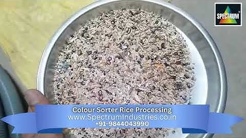 Efficient Rice Processing, Colour Sorter Optimizes Quality and Yield