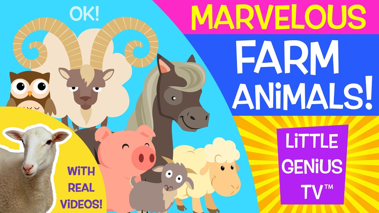 Farm Animals! | videos for babies, toddlers, kids | Little Genius TV™