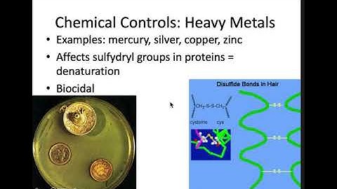 Which of the following is a chemical means of controlling microbial growth?