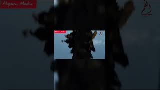 Alqom Media Shortsmukhtarnama