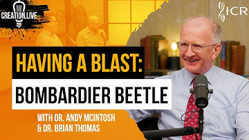 Beetle Blasts and Biomimetics