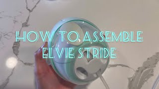 How To Assemble Elvie Stride