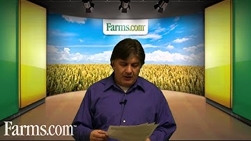 USDA WASDE Reports: Neutral Soybean Prices, Neutral Corn, Bearish Wheat Prices.