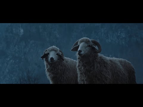 Vodafone GigaNet Umlaut