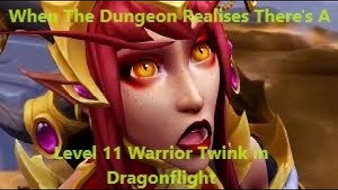 Level 11 Warrior Twink in Dragon Flight (Read Discription)