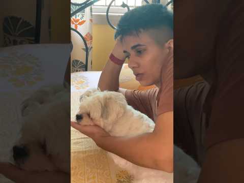 mini vlog ❤️ intezar jab khatm hota Hai uska Khushi alag hota Hai 🥰