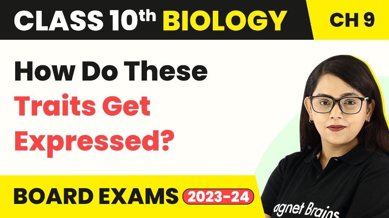 Class 10 Biology Chapter 9 How Do These Traits Get Expressed