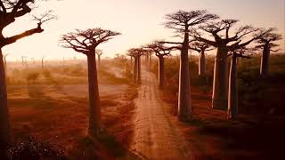 Relaxing Soothing Music - Stress Relief Music – Meditation- Study Music -MI Soothing Relaxation screenshot 2