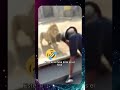 OHA ADAM YEMMELİK OLDU #viral