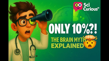 🤯 Are We Using Only 10% of Our Brain? The Truth Revealed!