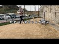 せっかくドッグラン来たのに誰もいなくて結局、爺ちゃんと遊ぶ柴犬。