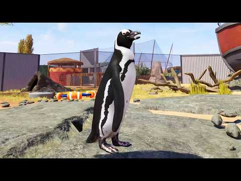 Planet Zoo 2 - African Penguin Gameplay (PS5 UHD) [4K30FPS]