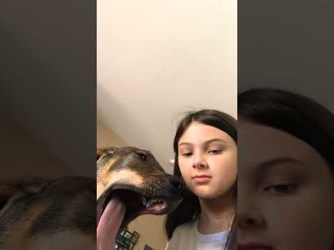 😘🐶 - YouTube