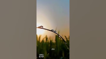 "وَعَلَى الثَّلَاثَةِ الَّذِينَ خُلِّفُوا" تلاوة خاشعة جداً - محمد الغزالي