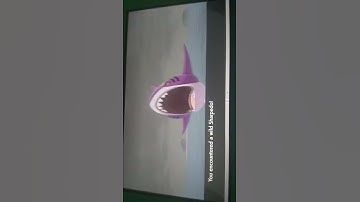 Shiny Sharpedo Found in less than 100 encounter