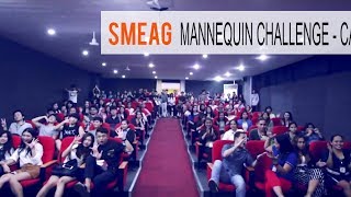 [Aprende Ingles] Academia de Ingles en Cebu, Filipinas : Mannequin Challenge Capital Campus
