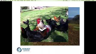 Introduction to Food Systems and our Health 101