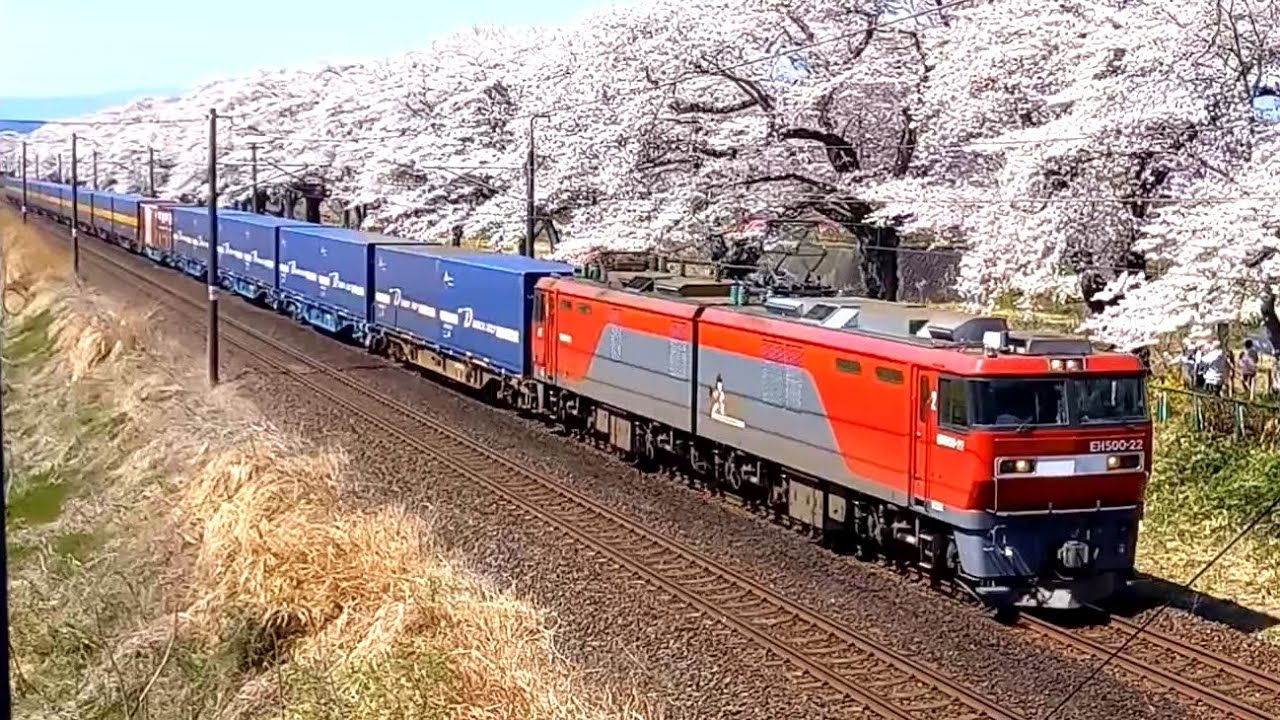 【実車見学】EH500貨物列車＃02