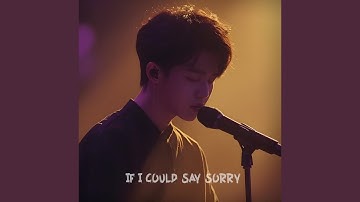 If I Could Say Sorry