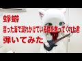 蜉蝣「腐った海で溺れかけている僕を救ってくれた君」を弾いてみたにゃ〜😸🎸