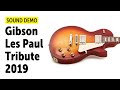 Gibson Les Paul Tribute (2019) - Sound Demo (no talking)