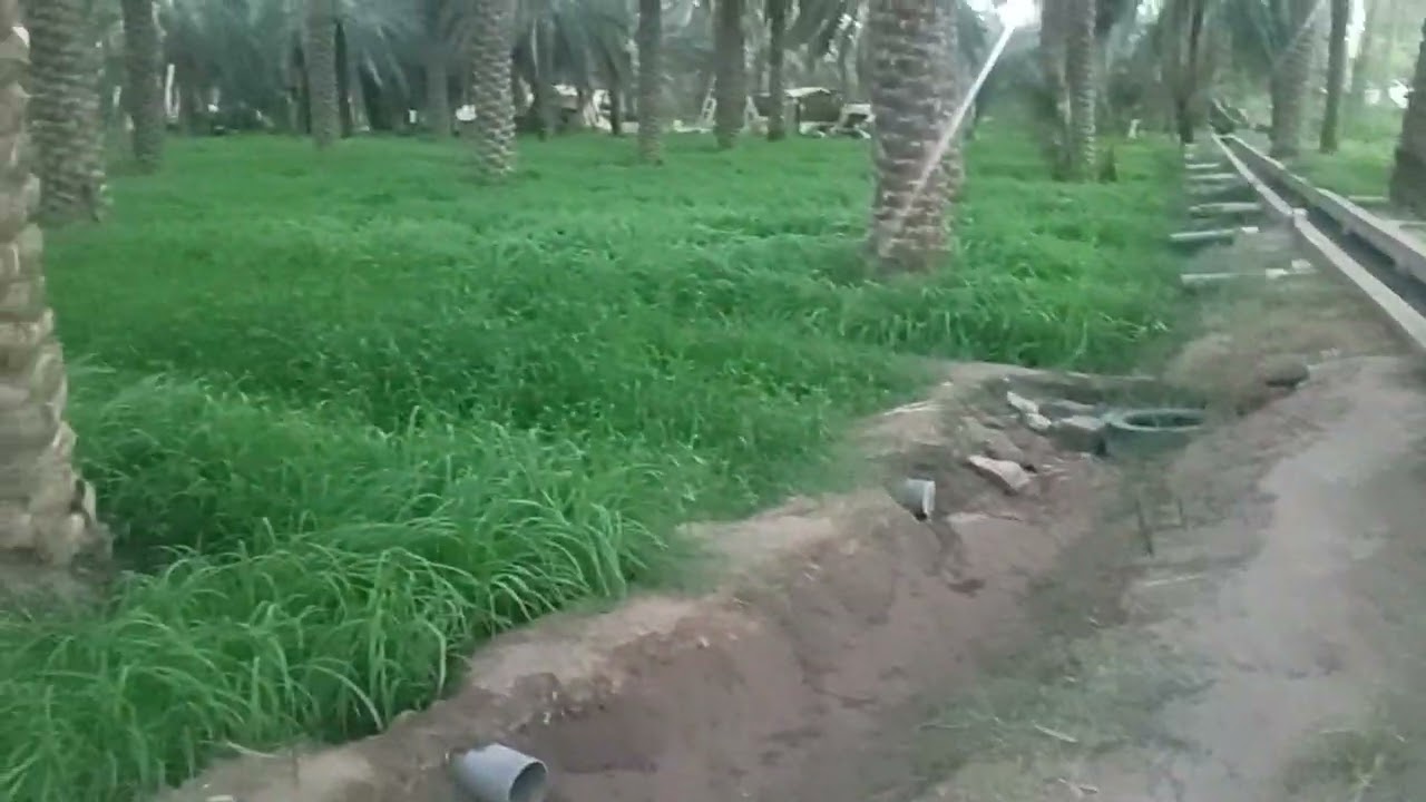 Saudi arabia night view in Al qassim city 