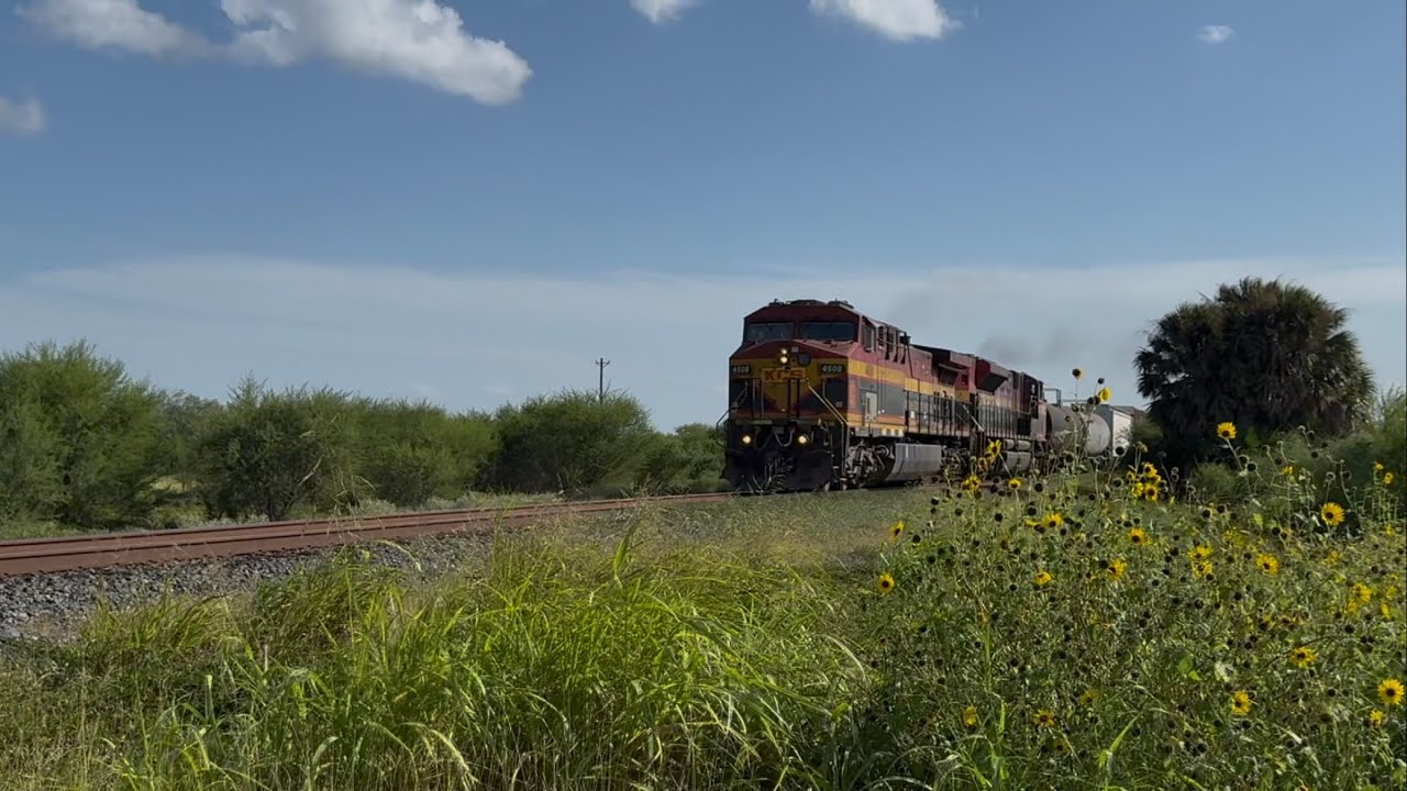 KCSM 4508 AC44CW leads northbound mixed freight in Sinton, TX | Welder wildlife |