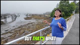 Exploring the Magic and Mystery of Southwest Harbor, Maine 🌫️ | Low Tide Coastal Views
