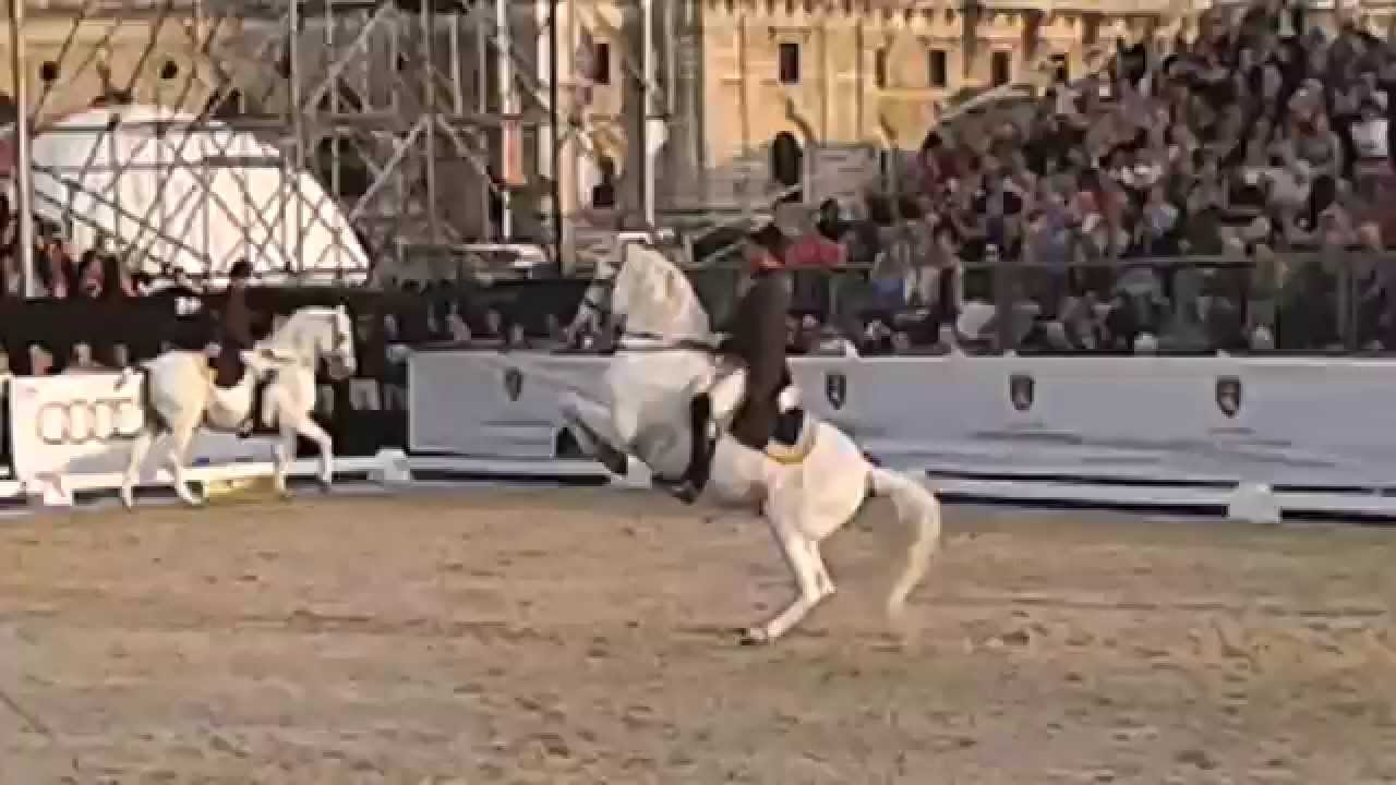 450 Jahre Spanische Hofreitschule - 25.6.2015