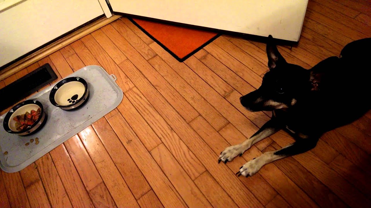 Scraps YouTube scraps-youtube