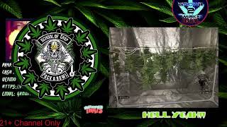 Working on some logos come hang out and have a toke or two