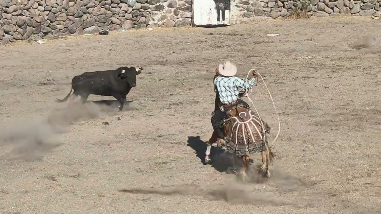 Toro Huitlacoche | Ganadería Los Licenciados Jaripeo de las Estrellas 💫 San Fandila Querétaro 2026