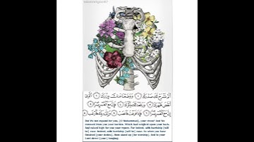 سورة الشرح بصوت جميل Surat Alsharh beautiful voice