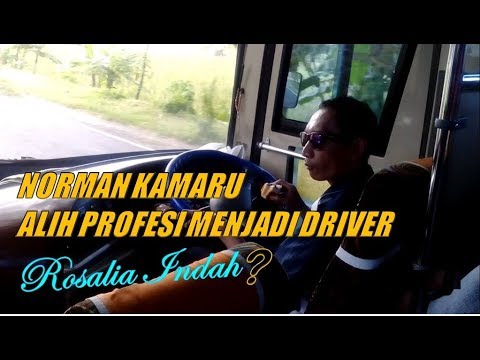 Artis Yang Alih Profesi Menjadi Supir Bus Rosalia Indah Youtube