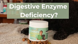 Does Your Dog Have a Digestive Enzyme Deficiency?
