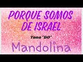 Mandolina 