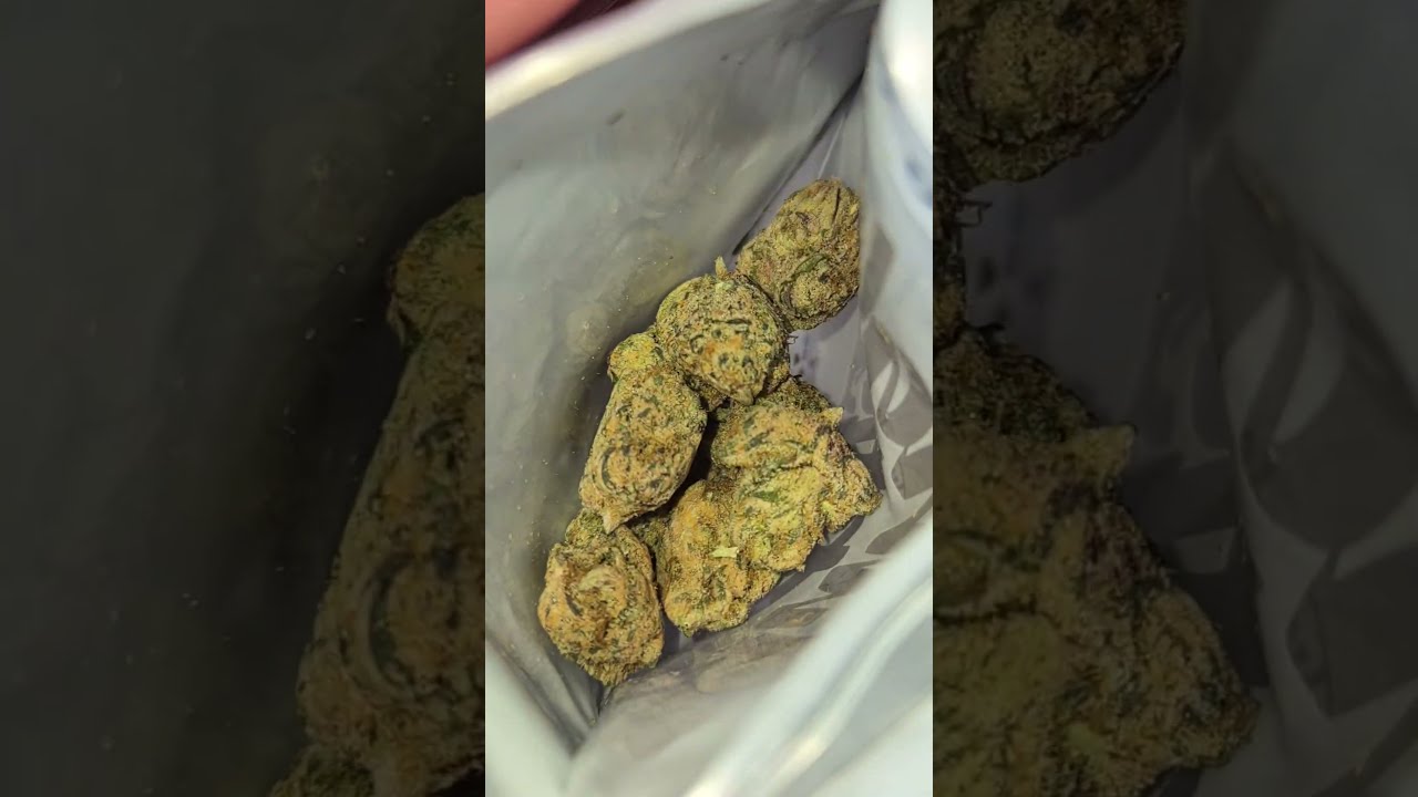 Jungle Boys Zkittlez Cake Wedding X 2nd Time Trying FOUND PACK 
