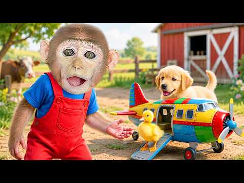 MONKEY KOKO - YouTube