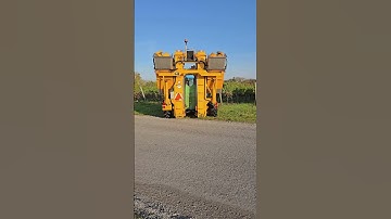 Grape harvesting machine #shorts #farming #farmers