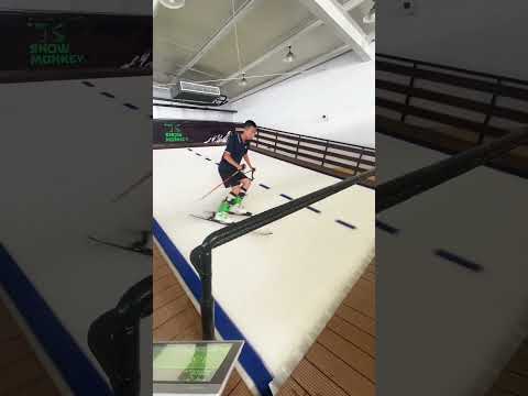 Professional ski machine