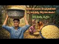 మ అడవ ల ఆక శ న ల ప రక త అన న కలస న ఇప పప వ వ చ ట ట మ ఆద వ స క య జ వన వ ధ న Ippa Puvvu Chettu