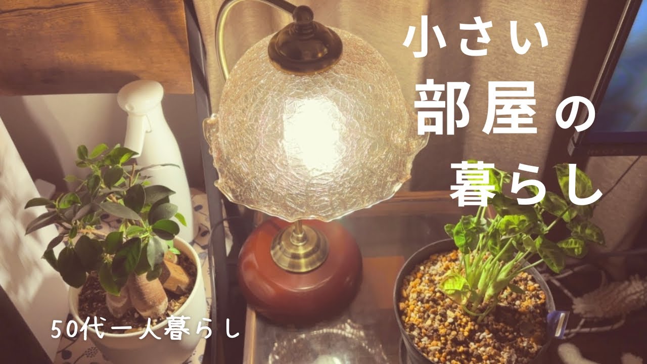 50代一人暮らし｜遅く帰った夜の過ごし方｜愛犬と小さな暮らし｜新しいインテリア｜Wワーク始まりました｜