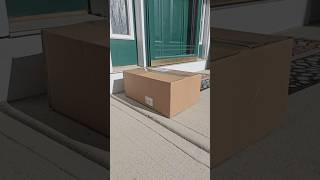 What showed up this time!