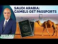 Saudi Arabia Introduces Official Passports For Camels To Regulate The Sector Spotlight N18G Saudi Arabia Introduces Official Passports For Camels To Regulate The Sector Spotlight N18G