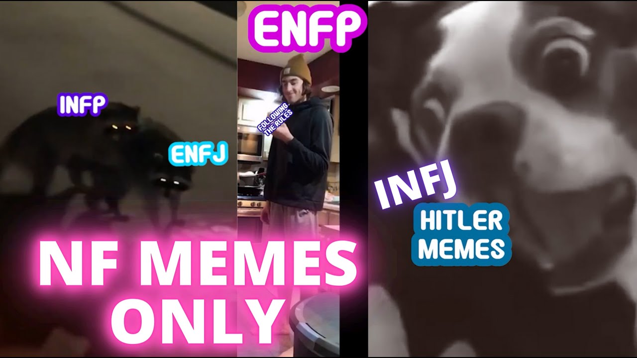 Nf S Only E2 Mbti Memes Compilation Infj Infp Enfp Enfj Youtube