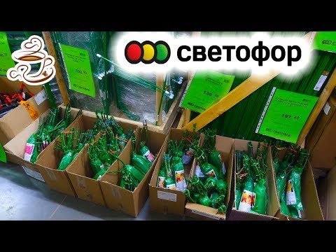 СРОЧНО в СВЕТОФОР🚥🤤 УСПЕЙТЕ! НОВИНКИ! Товары для Дачи, САЖЕНЦЫ, Посуда, Продукты, Товары для дома.