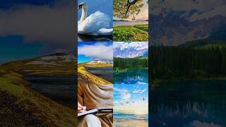 jihad nasheed| #shorts #nasheed