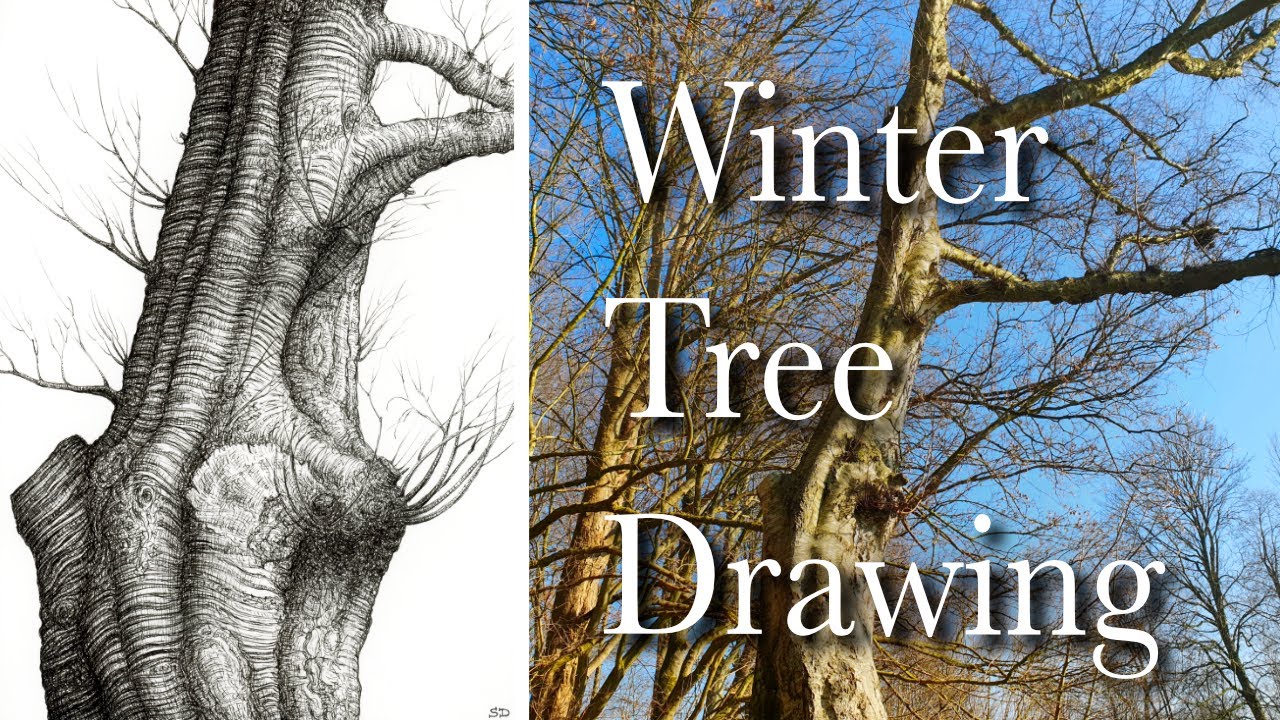 ART VLOG - Winter plein air drawing a tree on a lovely sunny day - Calm & relaxing creative process