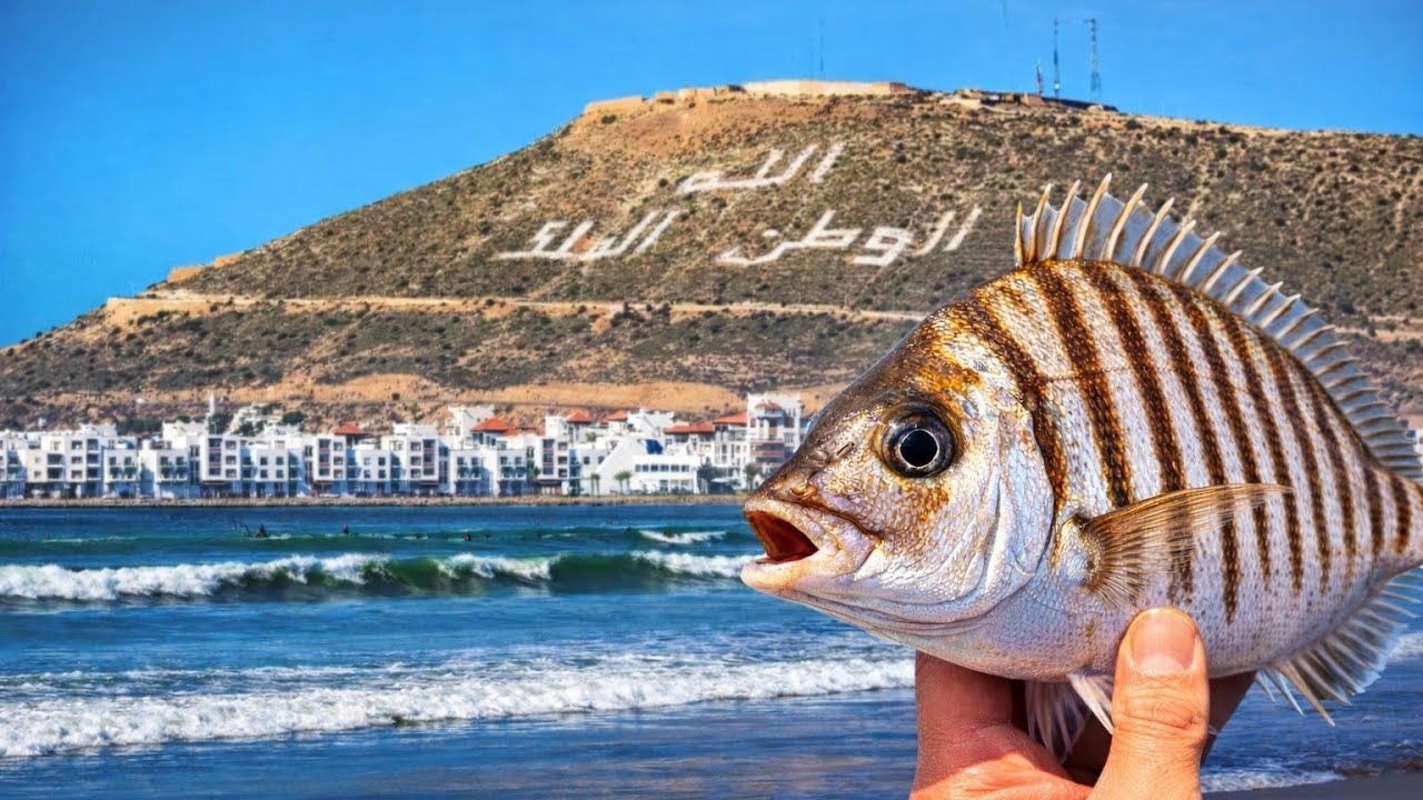  ✨تحدي الصيد بشاطئ أكادير 🌊🎣رغم المنزلة و أحوال الطقس🔥