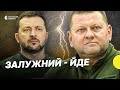 Звільнення Залужного: які причини та нова команда Сирського — дайджест Несеться